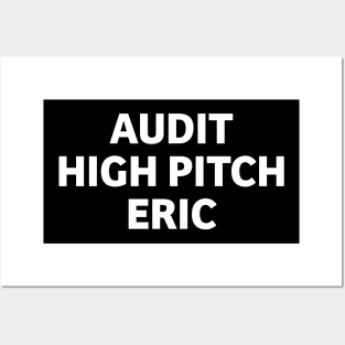 Audit Hitch Pitch Posters and Art
